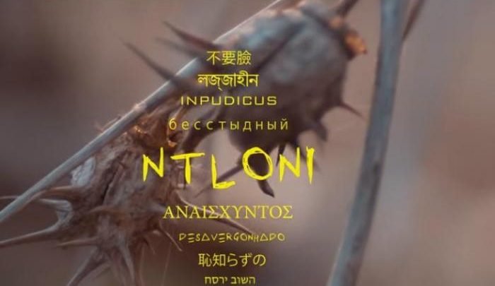 Anatii – Ntloni