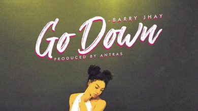Barry Jhay - Go Down