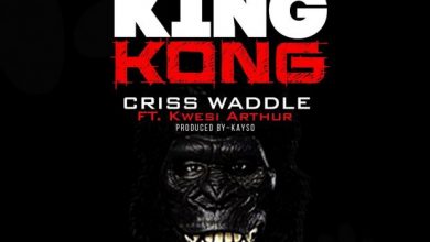  Criss Waddle – King Kong ft. Kwesi Arthur